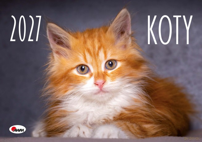 Kalendarz 2027 ścienny Koty KA2 [KALENDARZ]