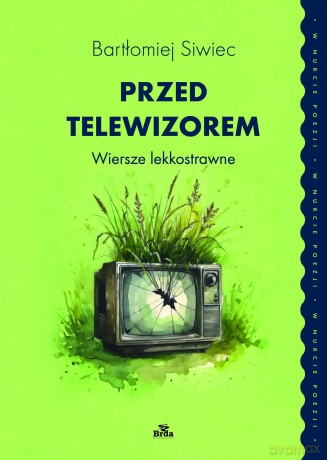 Przed telewizorem. Wiersze lekkostrawne - Bartłomiej Siwiec [KSIĄŻKA]