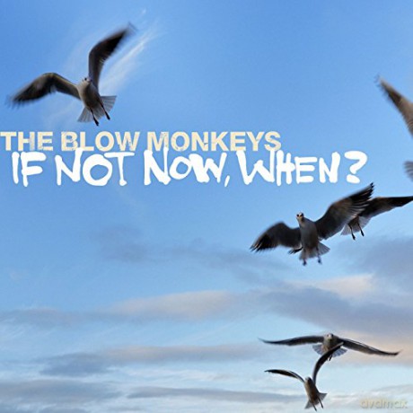 The Blow Monkeys: IF NOT NOW, WHEN? [CD]
