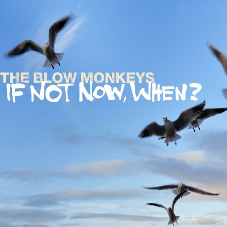 The Blow Monkeys: IF NOT NOW, WHEN? [CD]