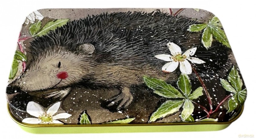 Puszka średnia prostokąt Jeż Prickly