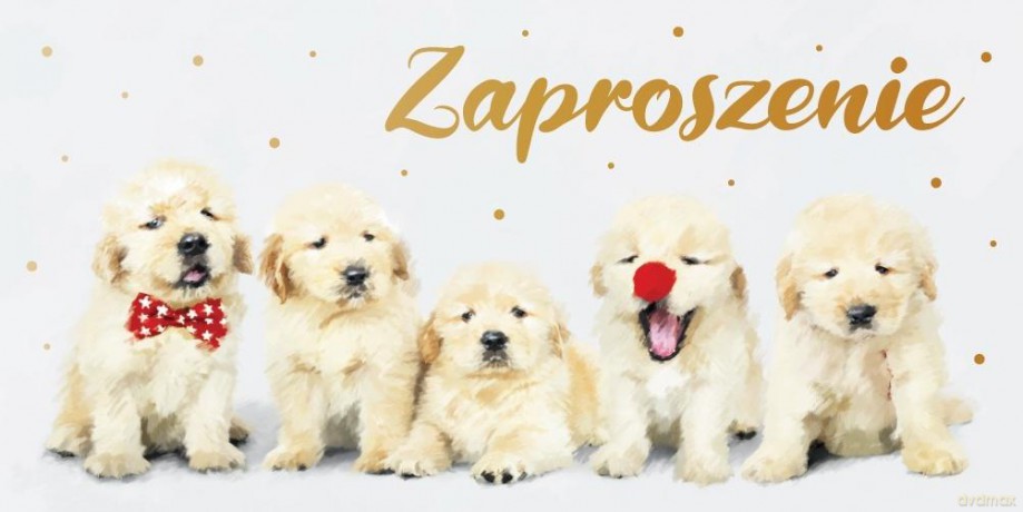 Zaproszenie Dziecięce Z139 (5szt)