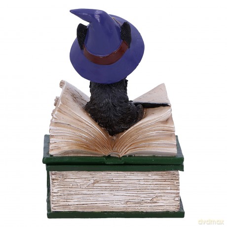 Nemesis Now Adult: Gothic - Binx Figure (11cm)