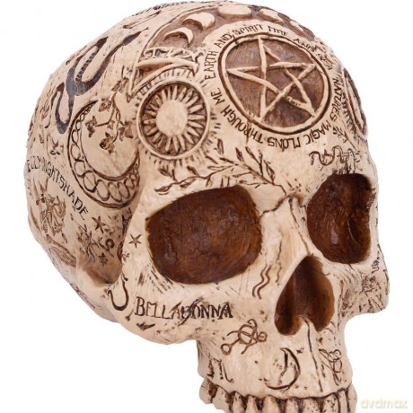 Nemesis Now: Premium Quality - Apothecary Skull (B7537B26)