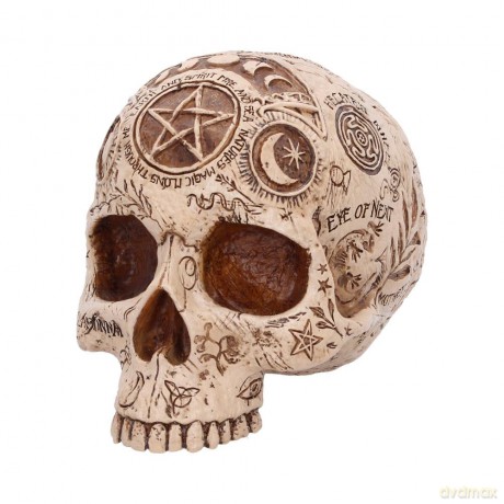 Nemesis Now: Premium Quality - Apothecary Skull (B7537B26)
