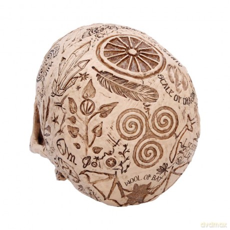 Nemesis Now: Premium Quality - Apothecary Skull (B7537B26)