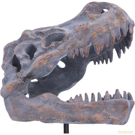 Nemesis Now: Tyrannosaurus Rex Skull on Plinth (D7553B26)