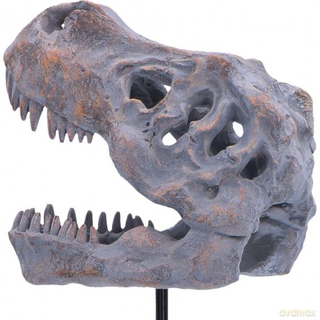 Nemesis Now: Tyrannosaurus Rex Skull on Plinth (D7553B26)