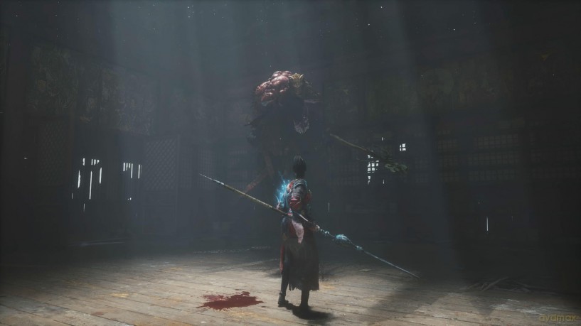 Wuchang: Fallen Feathers [GRA PS5]