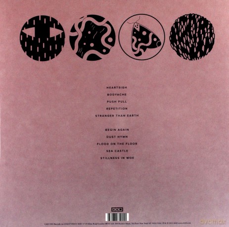 Purity Ring: Another Eternity (Limited Edition) [Winyl]