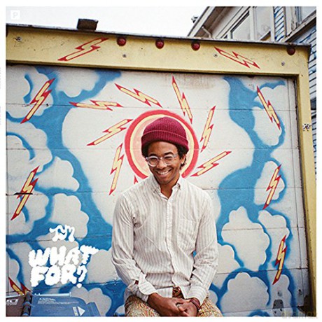 Toro Y Moi: What For [CD]