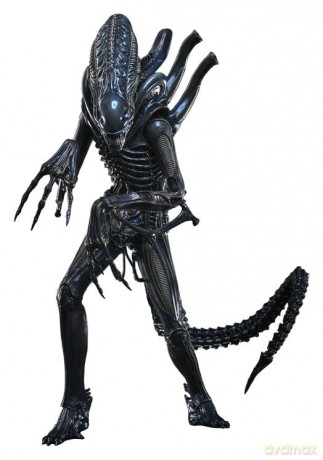 Alien Movie Masterpiece Action Figure 1/6 Alien Warrior 39 cm