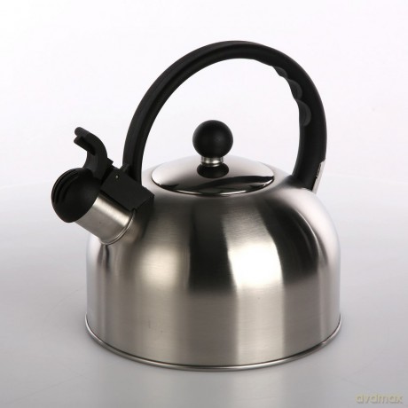 Czajnik Nierdzewny 2,5l Daily Satin