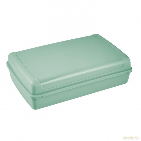 Luca Pojemnik Click Box Maxi 30x20x8,5cm 3,7l Zielony (10695)