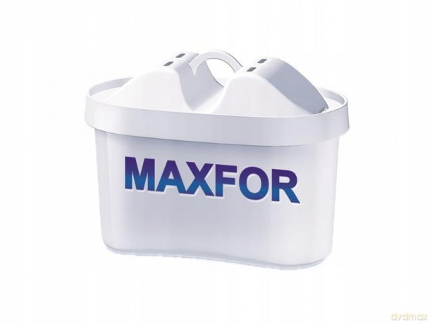 Wkład Filtrujący Maxfor B100-25
