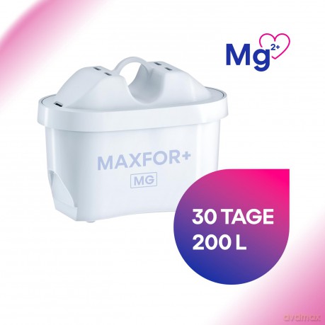 Wkład Filtrujący Maxfor B100-25 Magnezowy Na 200l