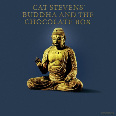 Cat Stevens: Buddha And The Chocolate (Remastered 2020) [Winyl]