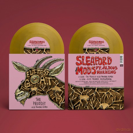 Sleaford Mods: Elitest G.O.A.T (The Prodigy Acid Th...) [Winyl]