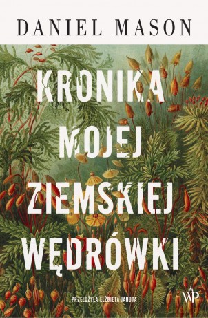 Kronika mojej ziemskiej wędrówki - Daniel Mason [KSIĄŻKA]