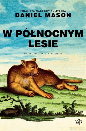 W północnym lesie - Daniel Mason [KSIĄŻKA]