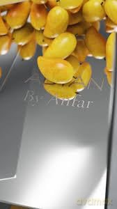 Musc Mango 100 ml Edp