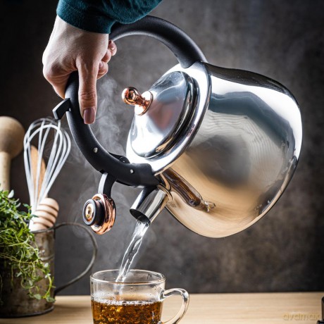 Czajnik ze stali nierdzewnej z gwizdkiem, srebrny z elementami różowego złota, pojemność 2,8l, klausberg, kb-7776