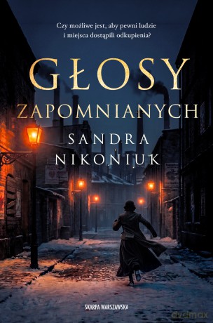 Głosy zapomnianych - Sandra Nikoniuk [KSIĄŻKA]