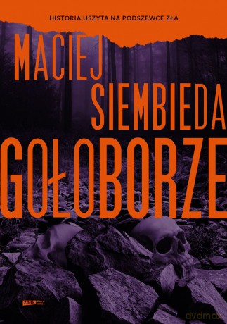 Gołoborze wyd. specjalne - Maciej Siembieda [KSIĄŻKA]