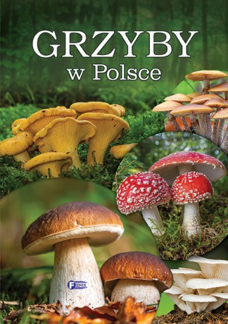 Grzyby w Polsce [KSIĄŻKA]