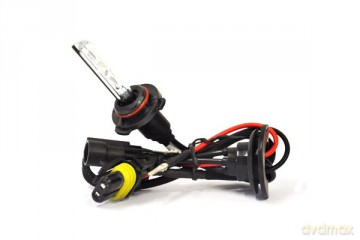 01415 HID Żarnik H8 H9 H11 6000K xenonowy
