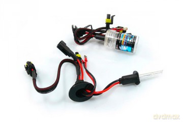 01416 HID Żarnik H1 4300K xenonowy