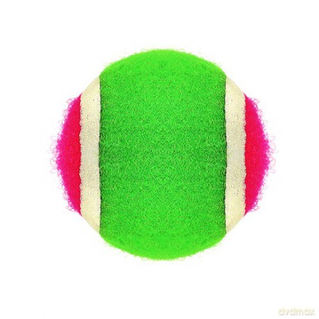 Gra na rzepy - paletki + piłka 23549
