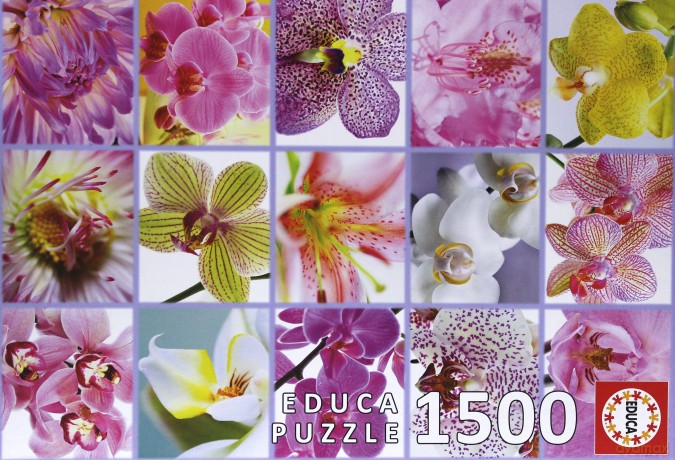 EDUCA 1500 EL. Kwiaty [PUZZLE]