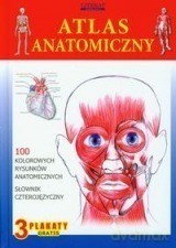 Atlas anatomiczny [KSIĄŻKA]