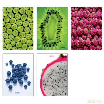 Brulion A5 96 kartek - kratka kratka Fresh Fruit (9561358)