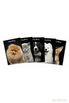 Brulion A5 96 kartki kratka Top Kitty&Dog