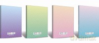 Brulion Top 2000 Ombre A4 96 kartek kratka