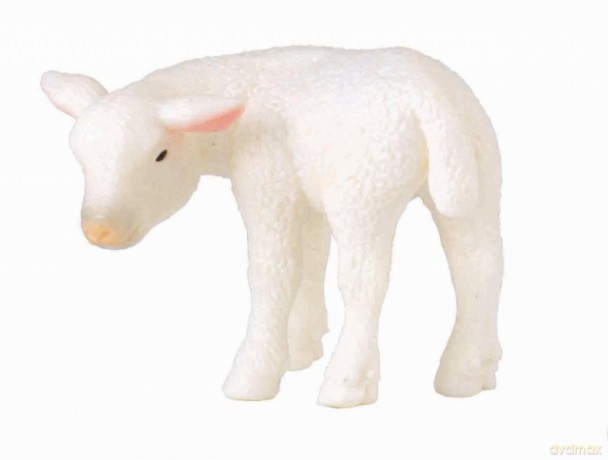 Collecta Jagnie Rozmiar S Bpz [FIGURKA]