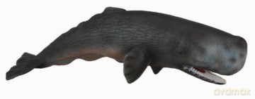 Collecta Kaszalot Rozmiar Xl Bpz-Collecta [FIGURKA]
