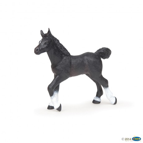 Czarne źrebię angloarabskie Papo (51530) [FIGURKA]