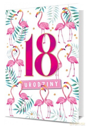 Karnet B6 18 Urodziny Flamingi K.B6-1709