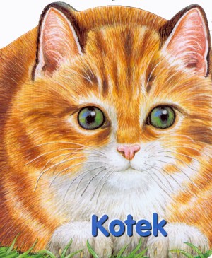Kotek - Monika Eisele, Ray Cresswell [KSIĄŻKA]