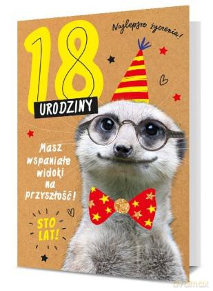 Karnet B6 18-te urodziny surykatka