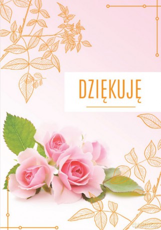 Karnet B6 Dziękuję, róże silver TS161