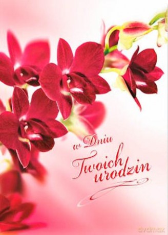 Karnet B6 kwiaty urodziny, bordowa orchidea FF1268
