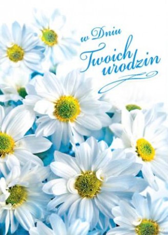 Karnet B6 kwiaty urodziny, margaretki FF1211