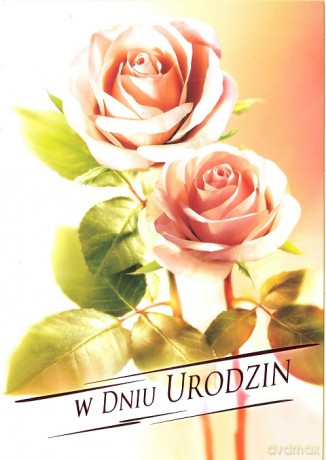 Karnet B6 Kwiaty W Dniu Urodzin FF1205
