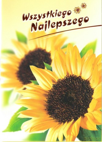 Karnet B6 Kwiaty Wszystkiego najlepszego FF1204