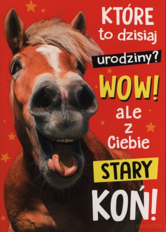 Karnet B6 Urodziny - stary z Ciebie Koń K.B6-1705