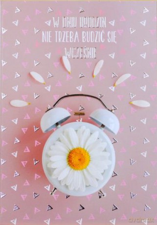 Karnet B6 urodziny budzik i stokrotka silver